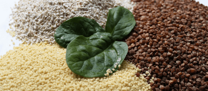 Vegetarische Marokkaanse salade uit Noord-Afrika? Je moet het proberen! 1 couscous 800x350px