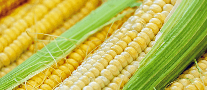 Koolhydraatarme maiskoekjes