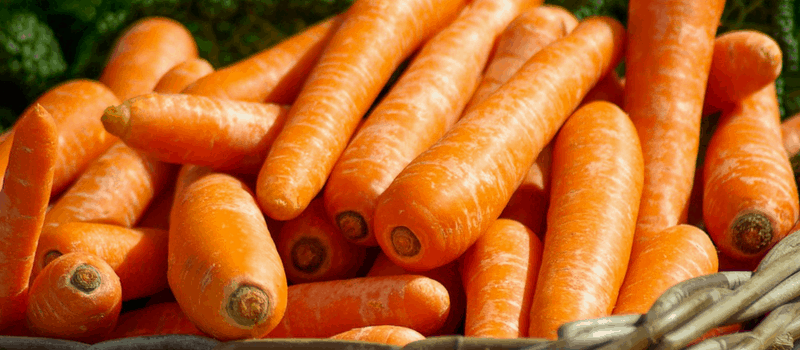 Verrukkelijk vegetarische hartige taart met feta maken? Zo doe je dat! 1 wortelen hartige taart 800x350px