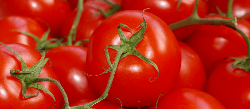 Koolhydraatarm Gazpacho een verfrissende koude soep die je niet kunt missen! (Tip) 1 Koolhydraatarm tomaten 800x350px