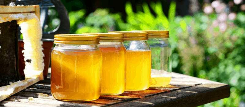 Bijenpollen kopen? De 5 unieke gezondheidsvoordelen van bijenpollen!