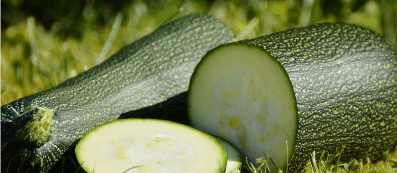 Koolhydraatarme courgettesoep en vegetarische? Probeer deze unieke soep eens! 1 courgette 800x350px