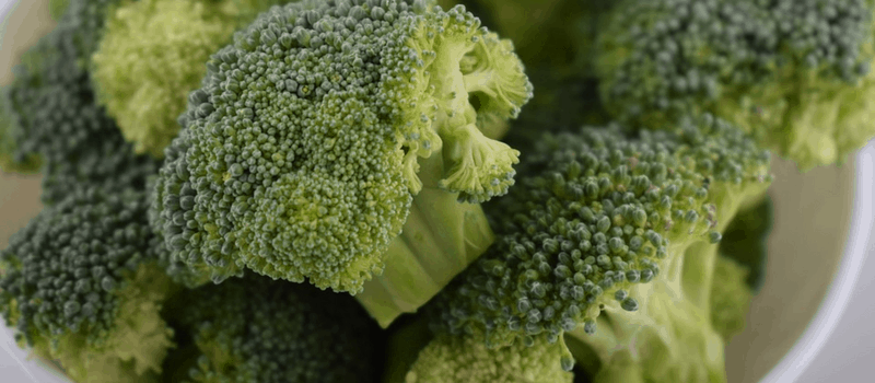 koolhydraatarme ovenschotel met broccoli 1 koolhydraatarme ovenschotel brocolli 800x350px