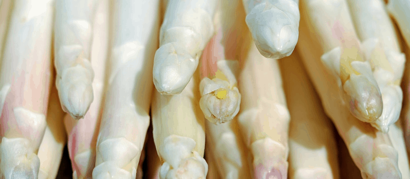 Asperges koken? Zo kook je zelf de perfecte asperges!