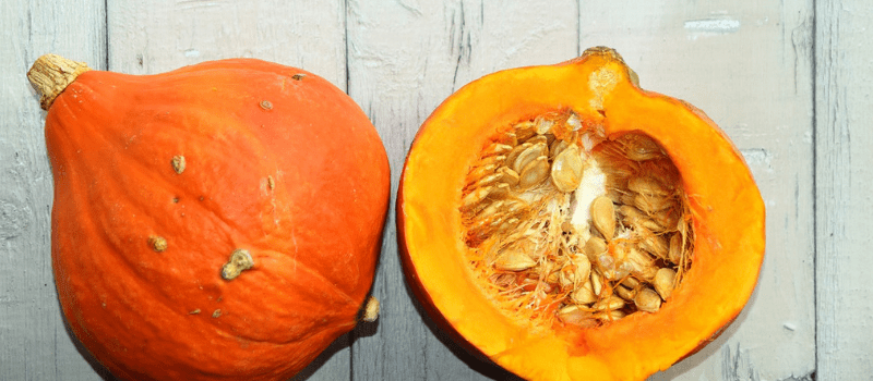Pompoen recept 800x350px