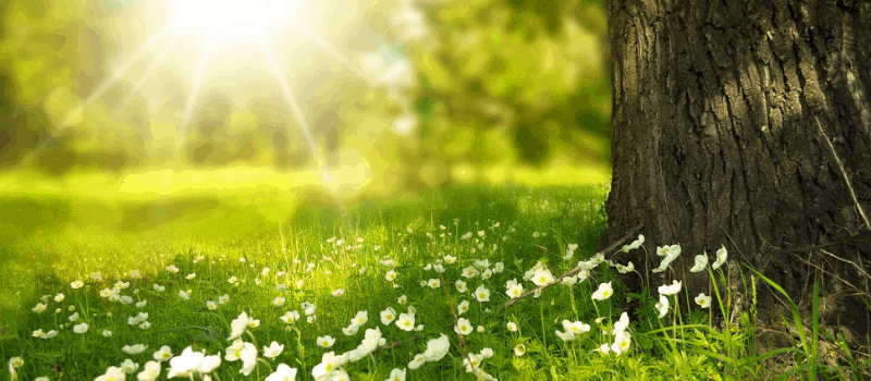 Vitamine D kopen? TOP 3 ALLERBESTE Van 2019!