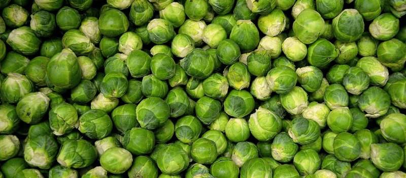Recept voor koolhydraatarm avondeten? Spruitjes salade met pijnboompitten!