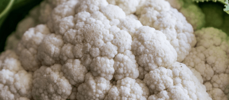 Een bloemkoolrijst recept? De lekkerste koolhydraatarme recepten! 1 koolhydraatarm bloemkool 800x350px