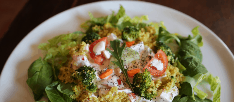 Low carb recepten? Gratis Heerlijke ontbijt, lunch en hoofdgerechten!