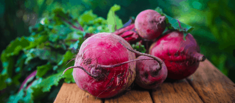 Lekker koolhydraatarm eten met deze recepten lijst 800x350px