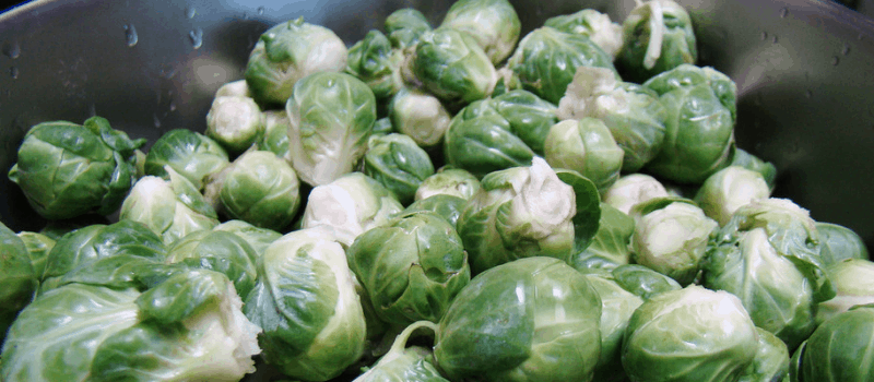 Smullen met dit spruitjes recept? Uit het koolhydraatarm dieet boek! 1 spruiten recept boek koolhydraatarm dieet 800x350px