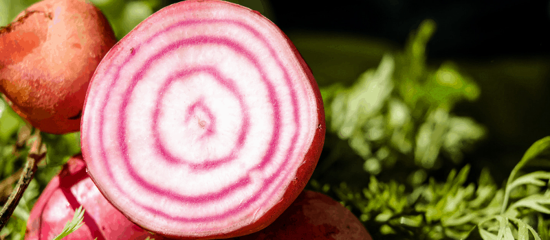 Pittige tilapiafilet met rode bieten? Heerlijk om eens te proberen!