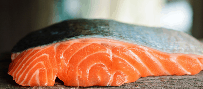 Koude pasta recepten met zalm en dressing van sinaasappel