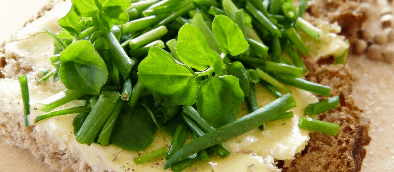 kruidenkaas maken? Heerlijk en romige met knoflook!