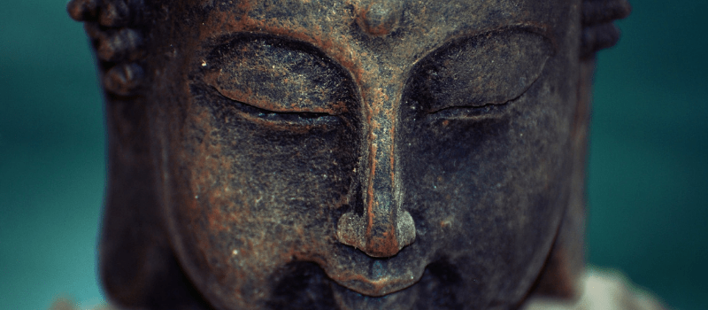 mindfulness boek 800x350px (1)