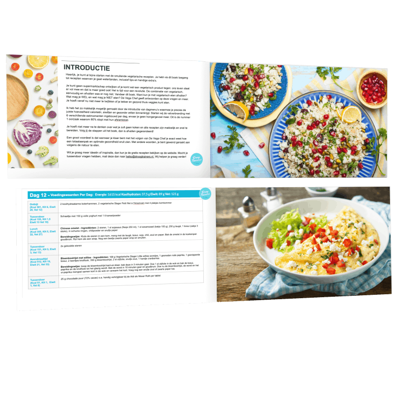 Review De Vega Chef! Super Koolhydraatarm Kookboek of niet Speciaal? 2 voorbeeld weekmenu de vega chef
