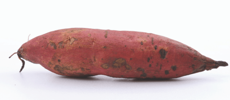 Hoe gezond is de zoete aardappel dan precies