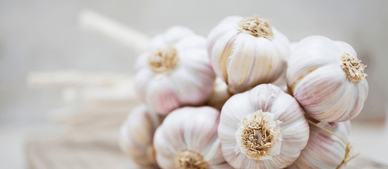 Is knoflook gezond