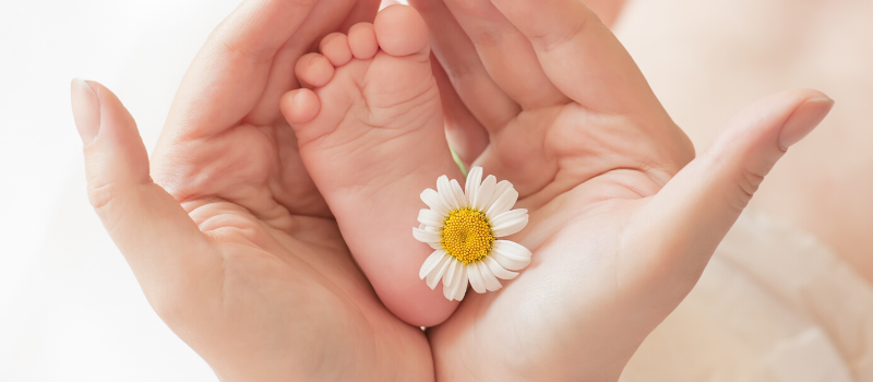 Baby vitamine k en d