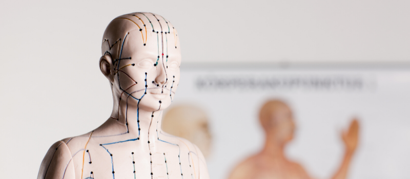 Massage kussen kopen? TOP 5 ALLERBESTE Shiatsu Massage! 2 Hoe werkt massagekussen