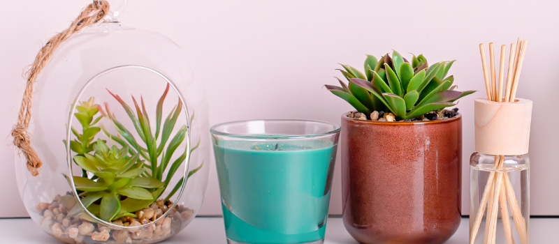 Rituals geurstokjes: welke zijn lekker, hoe te gebruiken en waar te koop 2 Hoe kun je het best Rituals geurstokjes gebruiken