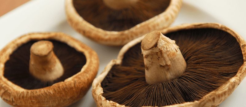 Portobello met ei maken