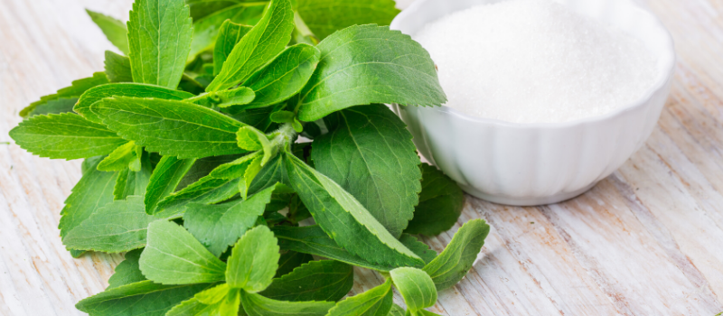 En met een stevia plantje dan