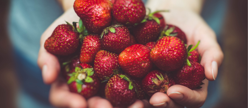 Koolhydraatarme aardbeien kwarktaart maken (1)