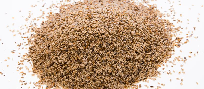 Wat is Psyllium Husk