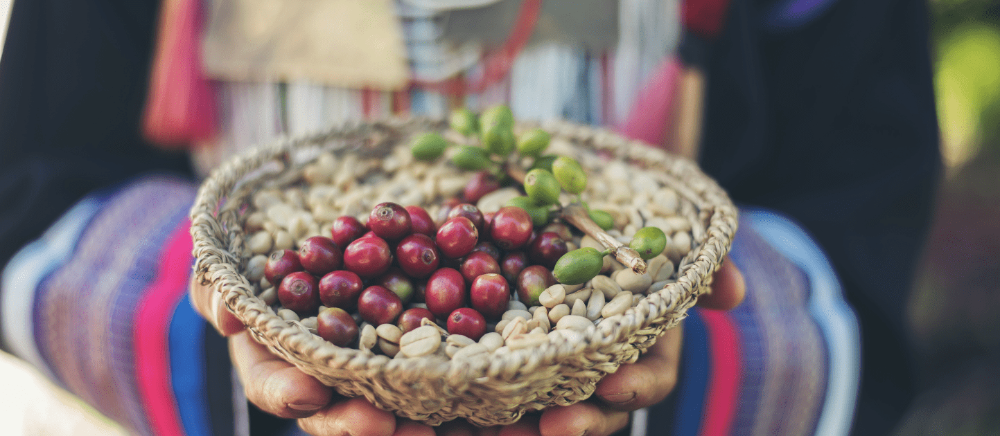 Maaltijdshake met superfoods? Een perfecte toevoeging aan je voedingspatroon! 3 cascara