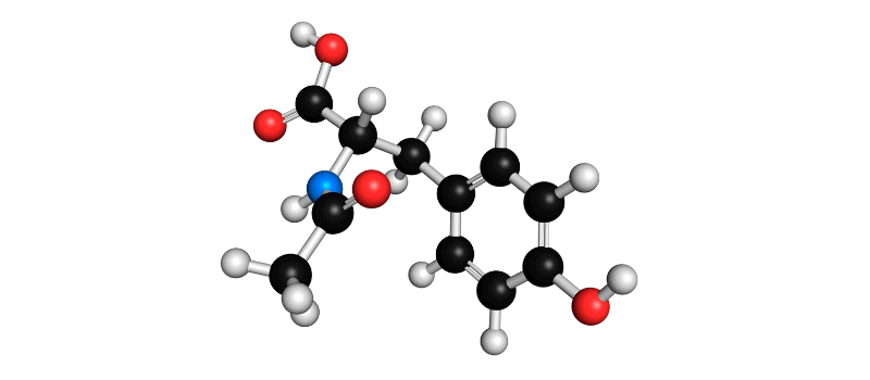De Top 5 Beste Acetyl-supplementen? Acetyl L-Carnitine uitleg en tips! 1 Wat is acetyl supplement