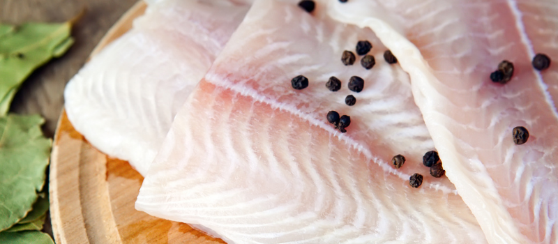 Ovenschotel met Witvis maken