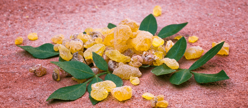 Wat is de beste boswellia