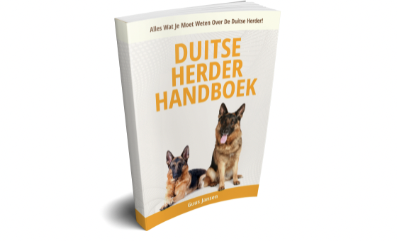 Duitse herder opvoeden? Ontdek Hoe Deze Gelukkig zal Gehoorzamen! 5 Hoe is de prijs-kwaliteitverhouding