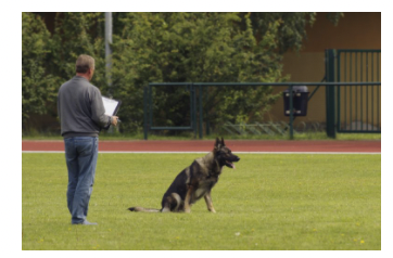 Duitse herder opvoeden? Ontdek Hoe Deze Gelukkig zal Gehoorzamen! 2 Wie heeft dit boek geschreven