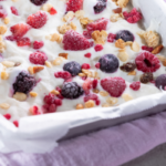 Yoghurt bars: Koolhydraatarme snack of tussendoortje met fruit 2 Yoghurt bars