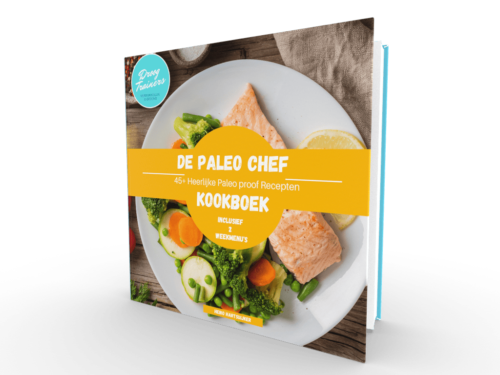 Droogtrainers - Koolhydraatarm eten, recepten en weekmenu's 4 De Paleo Chef ebook